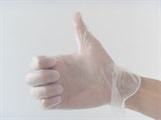 Picture of Vinyl Powder Free Gloves